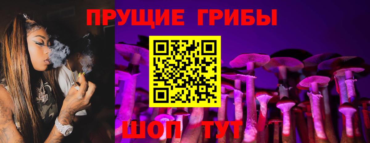 Полевской  Псилоцибиновые грибы Cubensis  Вход с VPN  Псилоцибиновые грибы Psilocybe 